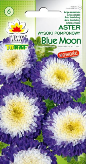 Aster pomponowy wysoki Blue Moon 0,5g