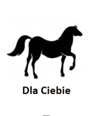 Wszywka metka Dla Ciebie Koń 5x4 cm 10 szt.