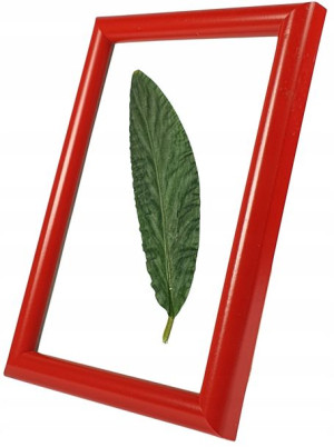 Ramka na zdjęcie 15x23 Czerwona Foto ramka RED