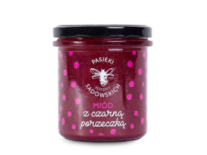 Miód Z Czarną Porzeczką 430g Pasieki Sadowskich