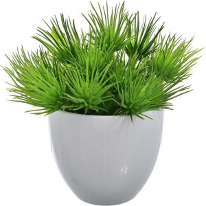 Sukulent Doniczka Sztuczne Kwiaty Dekoracja Roślin 16 Cm