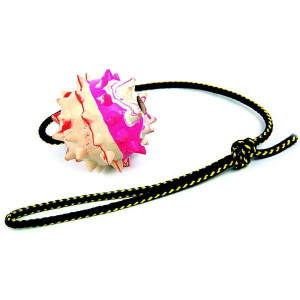 DINGO Piłka aportowa z kolcami na sznurku 60cm