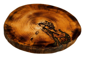 Blat żywiczny PDOB_130802_Z00 Żywica epoksydowa 54 cm x 53 cm x 6 cm Drewno