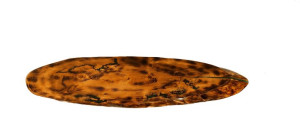 Blat żywiczny PDOB_131045_Z00 Żywica epoksydowa 127 x 35 x 4,5 cm Drewno