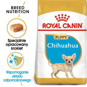 ROYAL CANIN Chihuahua Puppy Karma Sucha Dla Szczeniąt Do 10 Miesiąca Rasy C
