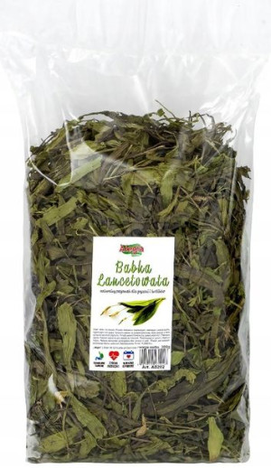 Alegia Babka Lancetowata przysmak dla gryzoni 300g