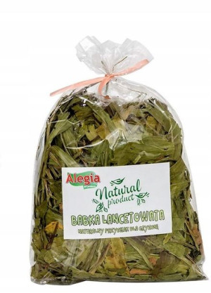 Alegia Babka Lancetowata przysmak dla gryzoni 100g