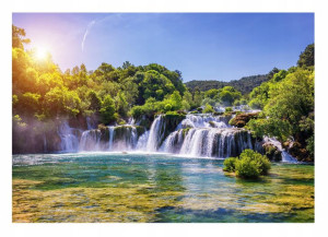 Fototapeta WODOSPAD 3D LAS Natura Widok Tapeta Do Salonu Sypialni 312x219