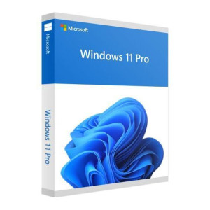 Microsoft Windows 11 Professional