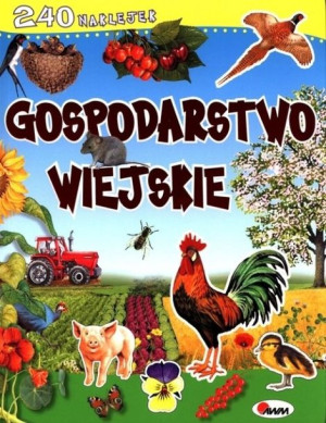 Morex Gospodarstwo Wiejskie 12634