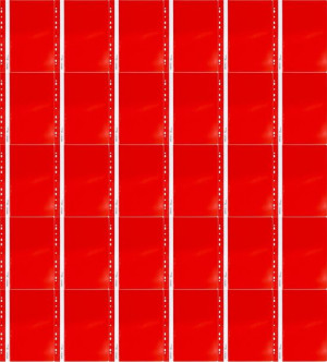 Skoroszyt plastikowy oczkowy Ofi- Standard twardy A4 PVC do 200 kartek x40