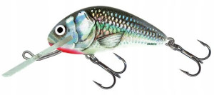 Qht063 Salmo Wobler Hornet 6 Floating # 6cm/10g