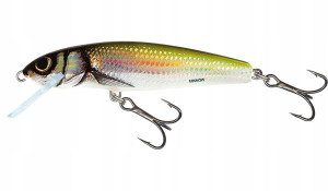 Qmw024 Salmo Wobler Minnow 7 Floating 7cm/6g