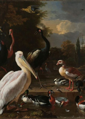 Plakat 20,5x28,4 The Floating Feather, Melchior d'Hondecoeter