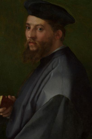 Plakat 20x30 Portret mężczyzny, Andrea del Sarto (Andrea d'Agnolo)