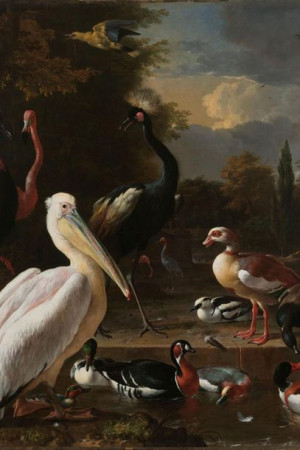 Plakat 20x30 The Floating Feather, Melchior d'Hondecoeter