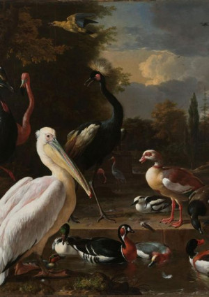 Plakat 21x29,7 The Floating Feather, Melchior d'Hondecoeter