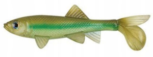Na Szczupaka Guma Berkley Sick Fish - # 10cm 1szt!