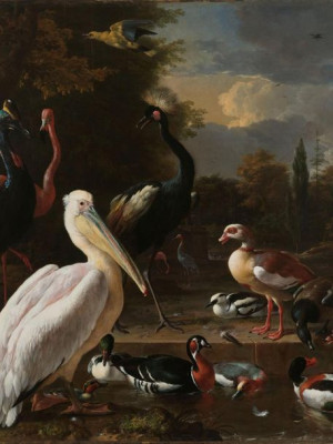 Plakat 30x40 The Floating Feather, Melchior d'Hondecoeter