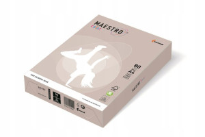 Papier kolorowy A4 80g szary