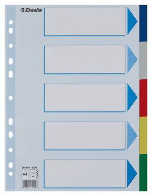 Przekładki A4 ESSELTE PP kolorowe 5 kart