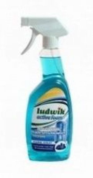 Ludwik Płyn do kabin prysznicowych Floral 750ml