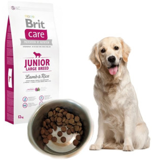 Karma dla psa BRIT CARE JUNIOR Large 12kg