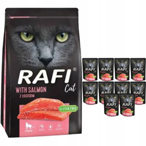 Dolina Noteci Rafi Cat łosoś 7kg+10x300g