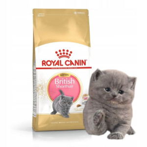 Royal Canin British Shorthair Kitten 0,4kg