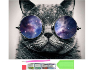 Diamentowa Mozaika 5d Kot Haft Diamentowy Okulary