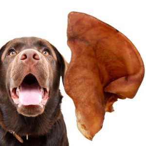 Dogario Bonni Pig's Ear L - Duże Wieprzowe Ucho Gryzak Dla Psa