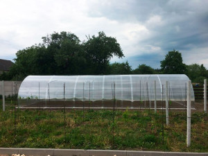 Szklarnia Tunel 4x10m POLIWĘGLAN 6mm profil 40x20mm