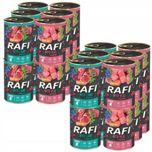Dolina Noteci Rafi Junior Karma Mix Smaków 24x400g