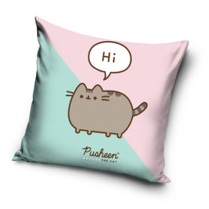 Poszewka na poduszkę na zamek 40x40cm Pusheen