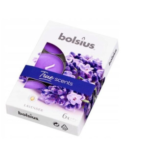 Podgrzewacz świeczka Lawenda 6szt Bolsius 7326