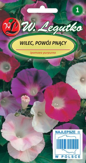 Nasiona Wilec, Powój pnący Early Call, 2g