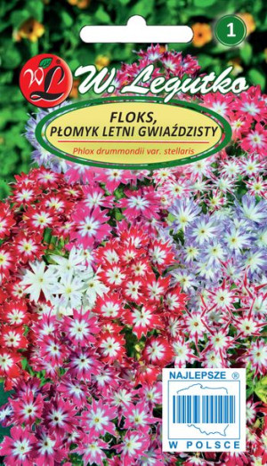 Nasiona Floks gwiaździsty mieszanka, 0,5g