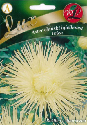 Nasiona Aster chiński igiełkowy biały, 1g