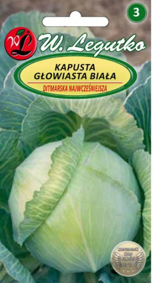 Nasiona Kapusta głowiasta biała Ditmarska, wczesna