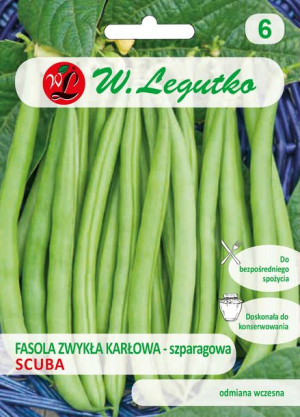 Nasiona Fasola szparagowa karłowa Scuba zielona