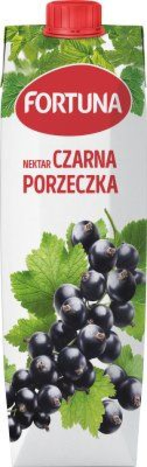 Fortuna czarna porzeczka nektar 1L