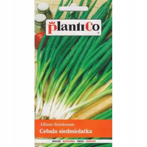 CEBULA SIEDMIOLATKA nasiona