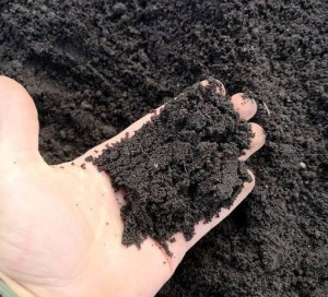 Ziemia ogrodowa naturalny czarnoziem 5l