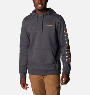 Bluza Columbia CSC Basic Logo II Hoodie 1681664008 L