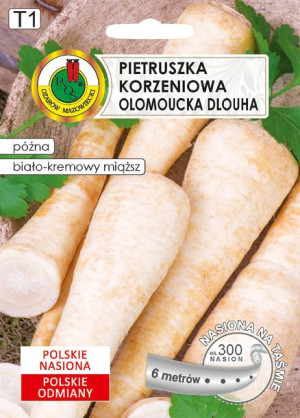 Pietruszka Korzeniowa Olomoucka Dlouha 6 M