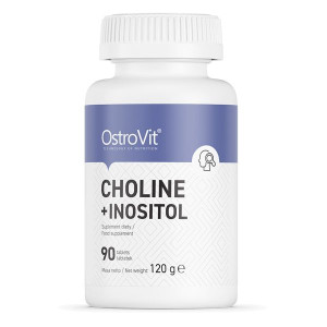 OSTROVIT Cholina + Inozytol 90 tab.