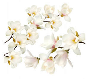 MAGNOLIE białe kwiaty naklejki na ścianę 100x90cm