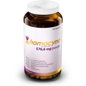 Homocyne B-complex 576,6 mg 120 kapsułek Hauster
