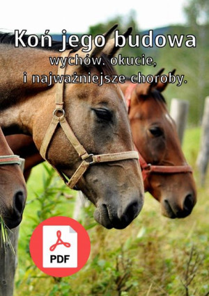 Koń. Jego budowa, wychów, okucie, i najważniejsze choroby. Plik PDF.