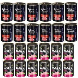 Mix smaków Dolina Noteci Premium Kot 24x400 g